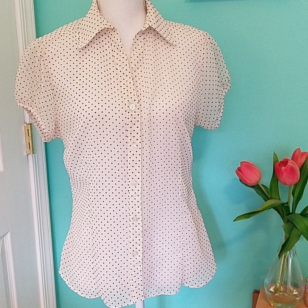 H&M sheer blouse